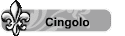 Cingolo